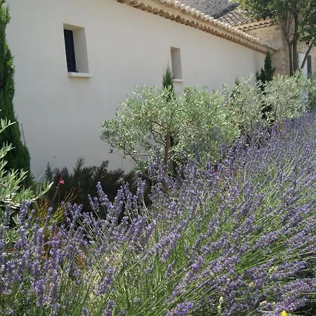 Dans Mas En Pierres Bed & Breakfast *